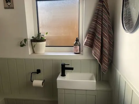 Cloakroom with sage tongue-and-groove panelling, small ceramic basin, black tap and matching toilet roll holder